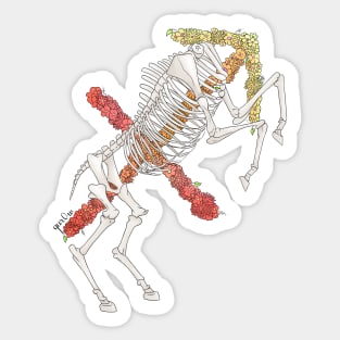 Sagittarius Skeleton - Black outline Sticker